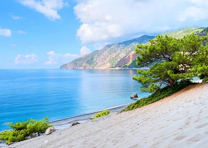 Steve Kois Heated Pool *