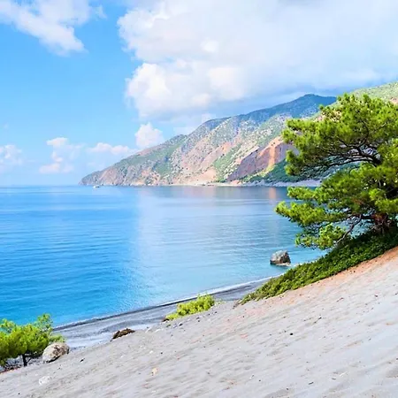 Steve Kois Heated Pool *